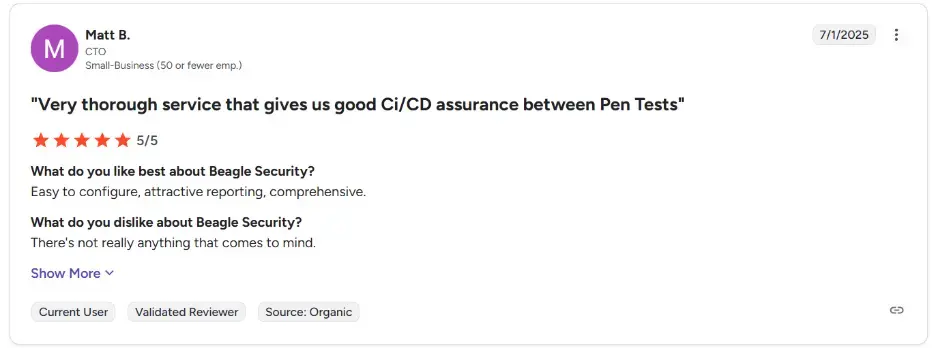 Beagle Security Reviews