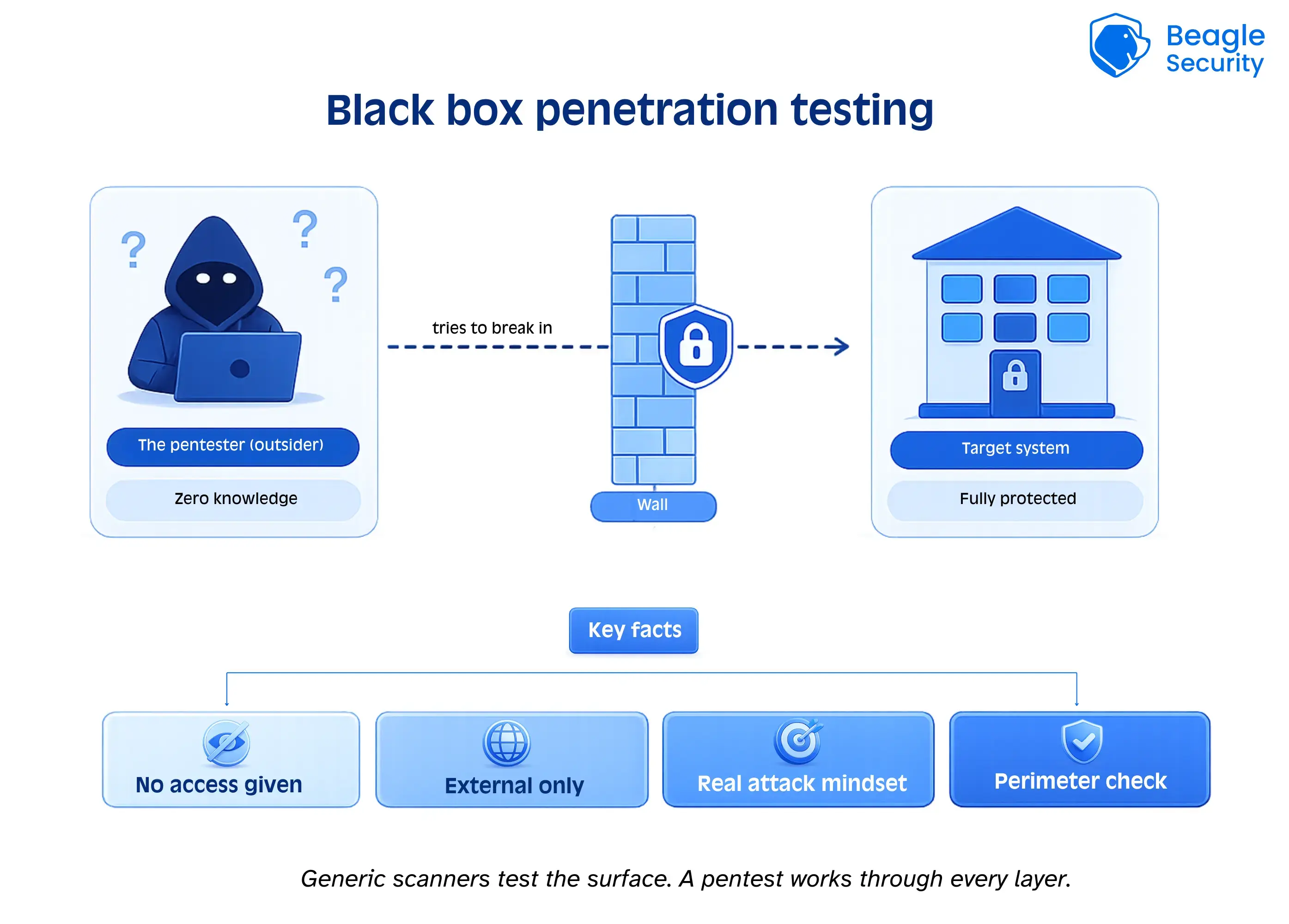 Black box penetration testing