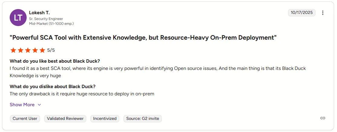 Black Duck DAST review