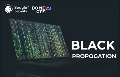 Black Propagation Writeup