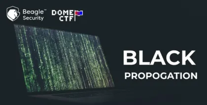 Black Propagation Writeup