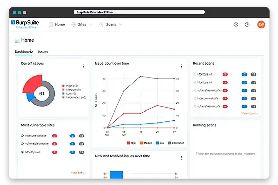 Burp Suite dashboard