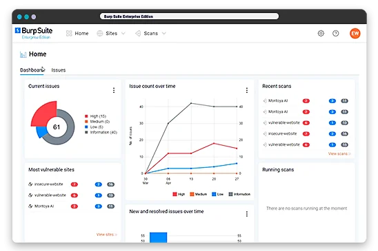 Burp Suite enterprise dashboard
