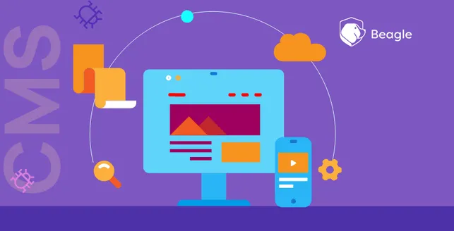 CMS Vulnerabilities: Why are CMS platforms common hacking targets?