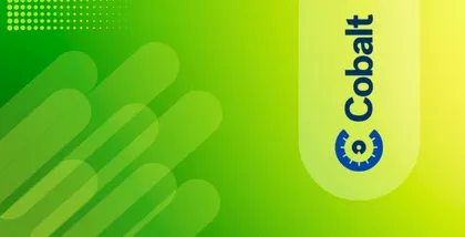 Cobalt pricing 2025: Is it worth the investment?