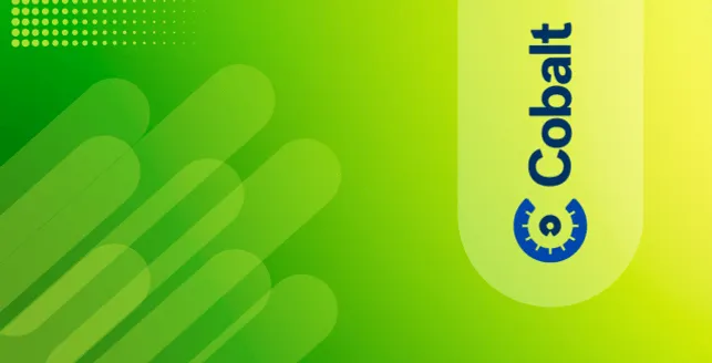 Cobalt pricing 2025: Is it worth the investment? Cobalt pricing 2025: Is it worth the investment?