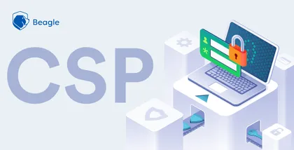 Content Security Policy (CSP): Use Cases and Examples