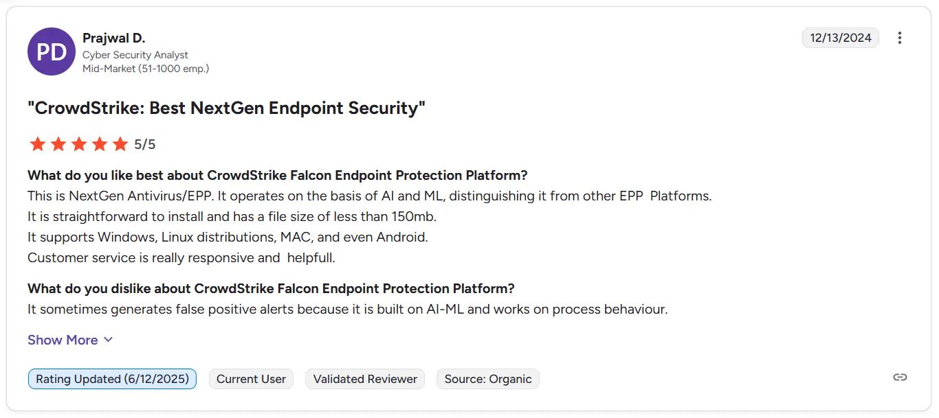 CrowdStrike Falcon review