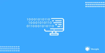 Fingerprinting Web Server