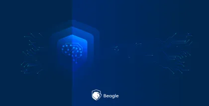 DNS Zone Transfer Vulnerability