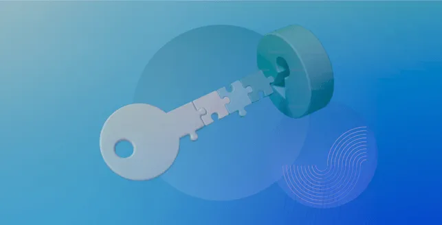 Guide to gray box penetration testing