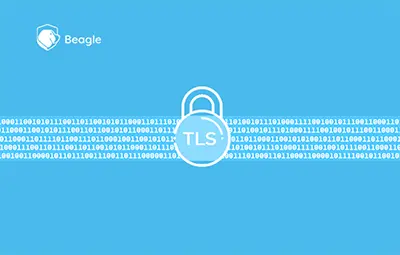 Importance of TLS 1.3: SSL and TLS Vulnerabilities
