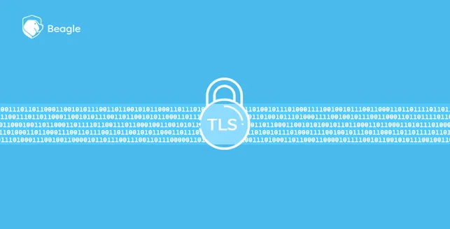 Importance of TLS 1.3: SSL and TLS Vulnerabilities