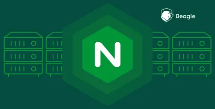 Nginx Server Security: Nginx Hardening Guide