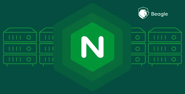 Nginx Server Security: Nginx Hardening Guide Nginx Server Security: Nginx Hardening Guide