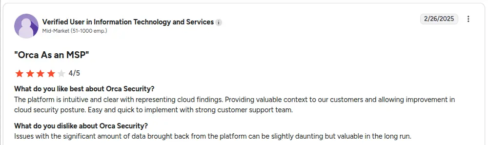 Orca Security review