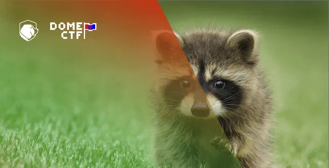 Rocket Write-up Rocket Write-up