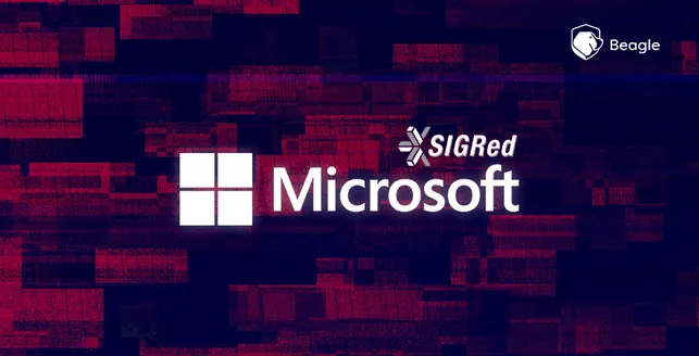 SIGRed: Microsoft DNS Server RCE Vulnerability