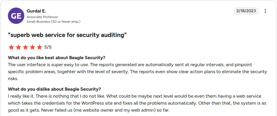 Beagle Security reviews