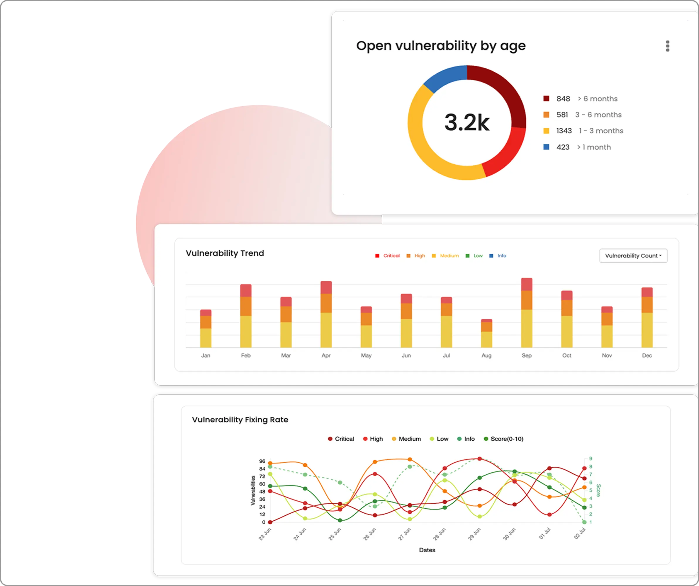 Customizable widgets in Beagle Security dashboard