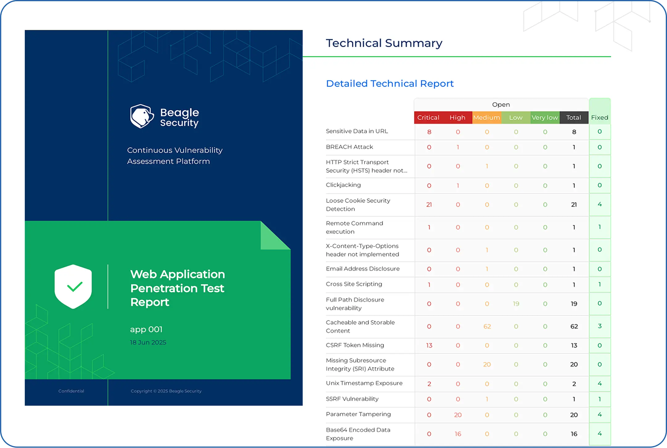 technical summary