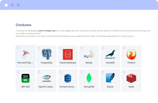 Web Application & API Penetration Testing Tool | Beagle Security Features