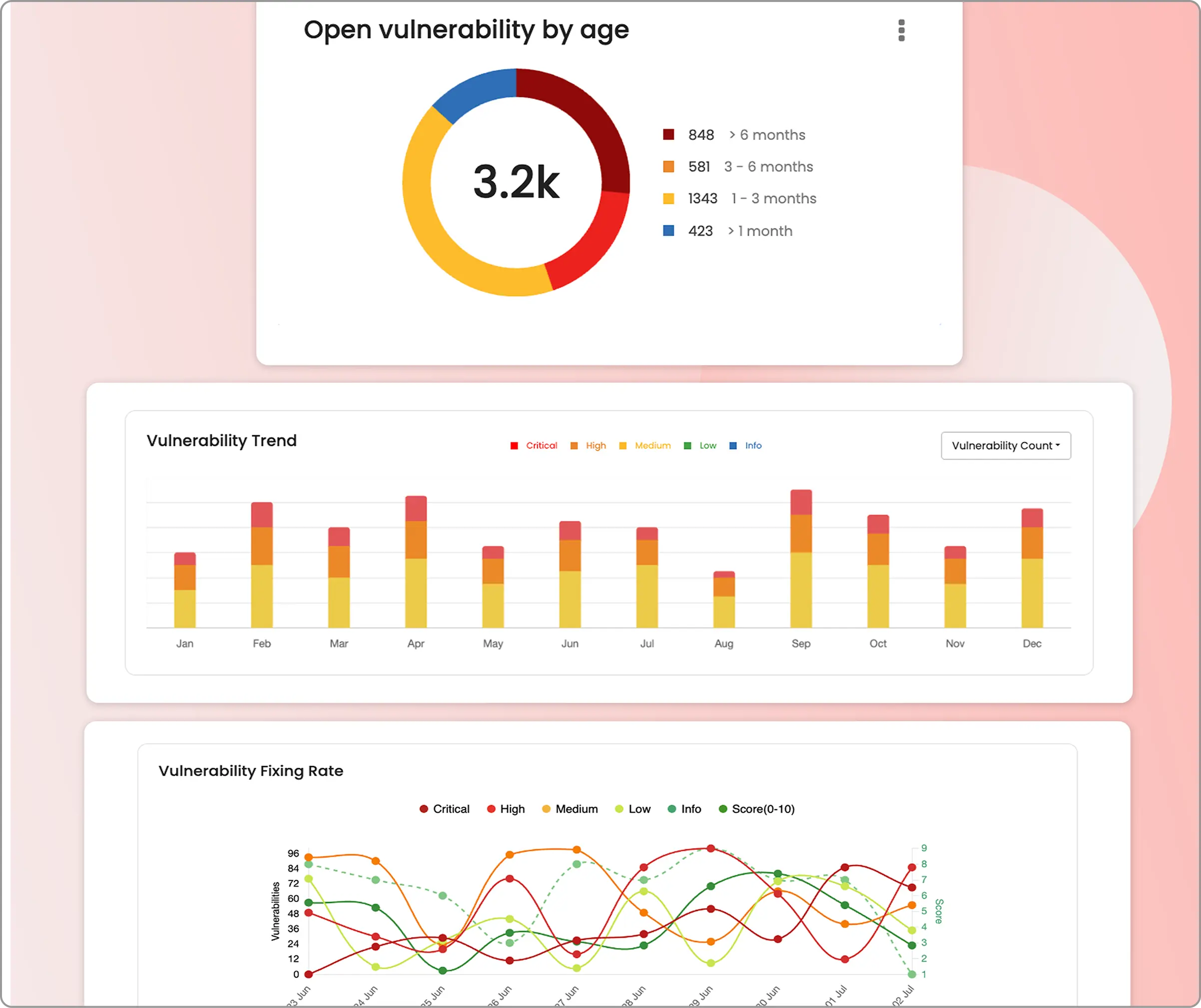 Customizable widgets in Beagle Security dashboard