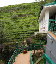 Serene hillside at the Camelot resort.