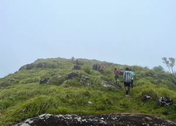 Into the heart of Ponmudi's greenscape on our unforgettable Seethatheertham trek