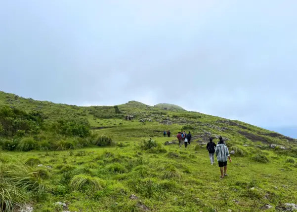 The team trekking at Ponmudi's Seethatheertham: Where every path leads to natural splendor