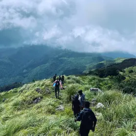 Discovering tranquility while hiking Seethatheertham's trails in the verdant Ponmudi hills